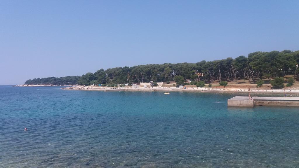 Viribus Apartman *